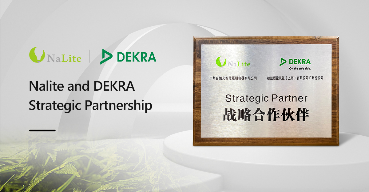 Nalite and DEKRA Reach strategic partnership